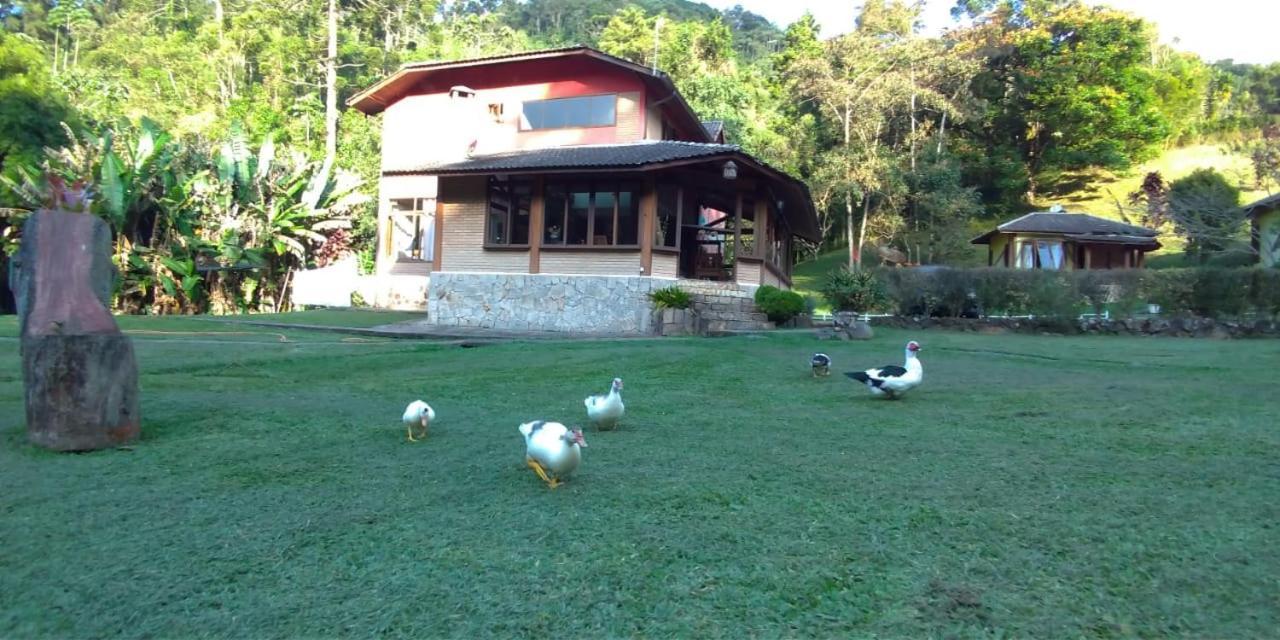 Um Lugar De Mato Verde