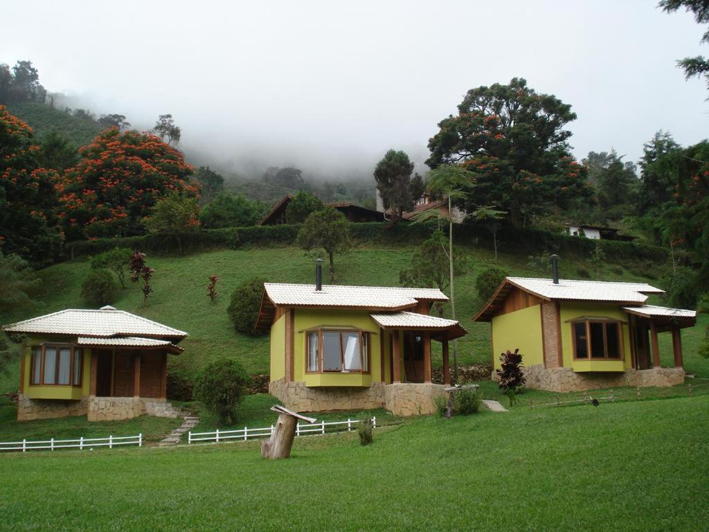 Um Lugar De Mato Verde *