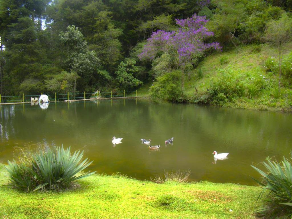 Um Lugar De Mato Verde Casa de hóspedes *